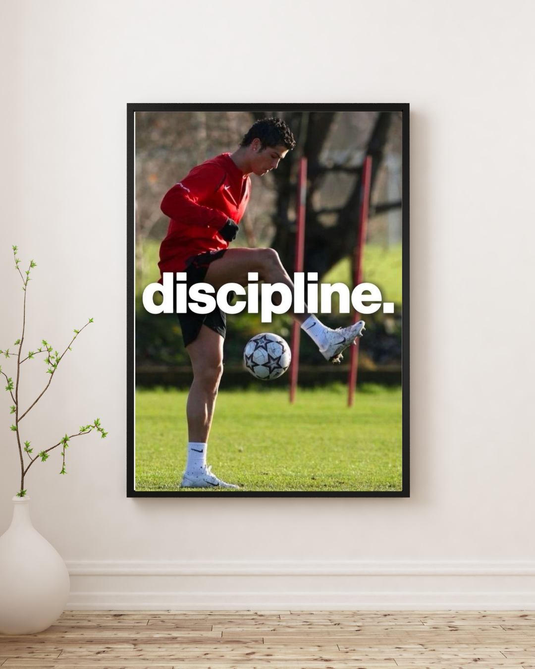RONALDO (DISCIPLINE)